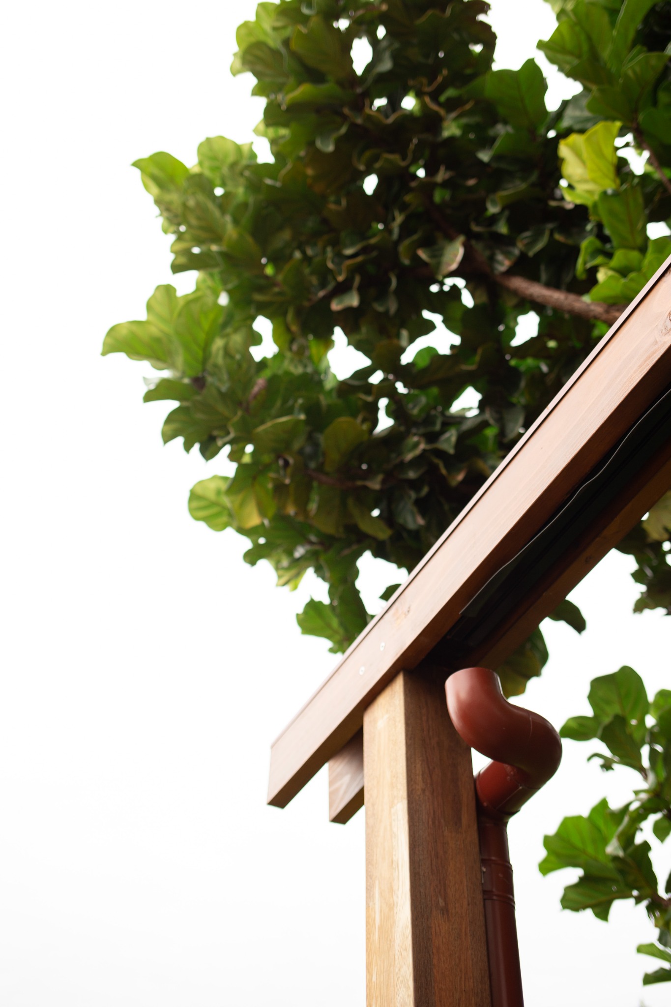 Timber details shaped for the home