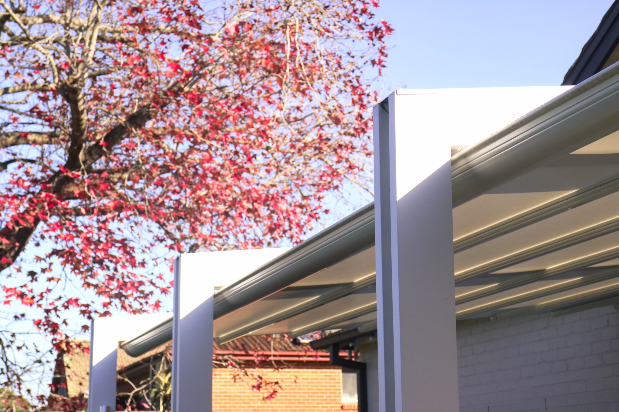 Clean lines beneath the canopy
